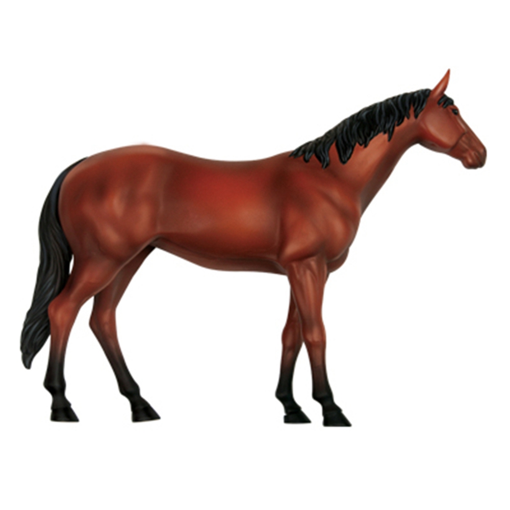 動物の解剖学モデル,乗馬玩具,教育玩具,人気の科学機器 - Science Toy のレビューと価格